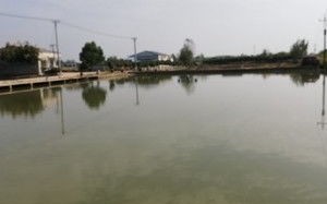祁东最大水库