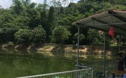 宝安附近钓鱼场位置和收费