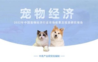 宠物生化全套是多少项目