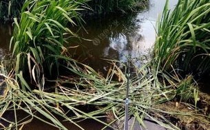 淡水鳊鱼垂钓方法及技巧