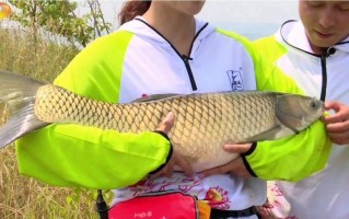 丹江口水库垂钓视频介绍