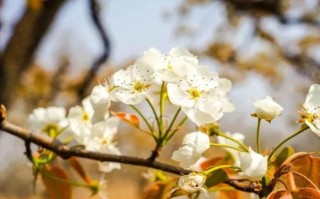 北京慧生垂钓园