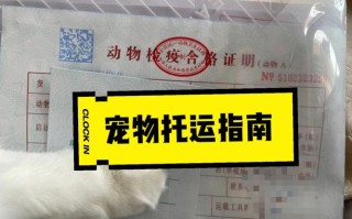 外地托运宠物多少钱