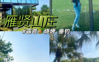 日照哪里适合野炊烧烤