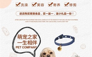 大连宠物市场