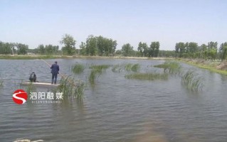 邵阳龙虾批发市场