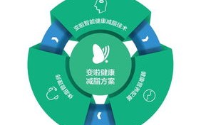 标题：为什么选择陪伴式大数据服务及如何实施