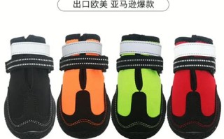 宠物狗鞋子品种