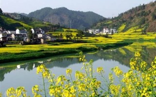 花骨鱼垂钓视频