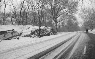 石家庄大雪，一场冬日瑞雪带来的深思与生活洞察