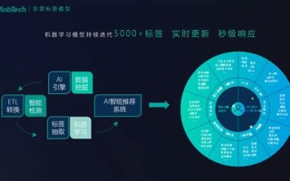 善林金融执行阶段