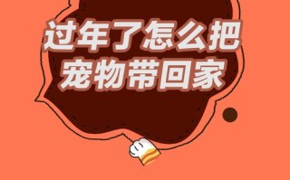萌宠家园宠物店