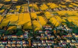 木兰胜天提档升级，擦亮乡村休闲游的金字招牌