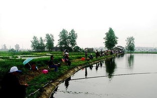 石家庄钓鱼水库