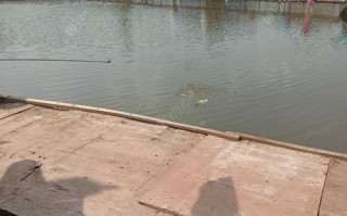 1.钓位设置