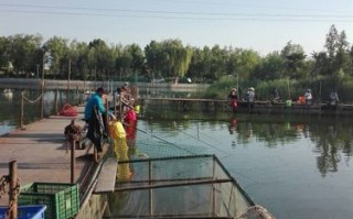 秀水垂钓基地介绍