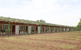 垂钓中心农家乐：结合钓鱼和乡村体验的理想去处