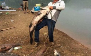 七里冲水库：宜昌钓鱼的理想之地