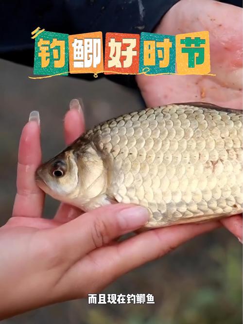 选择合适的地点-第1张图片-彩蝶百科