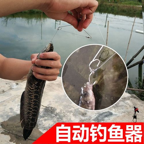 选择实用的垂钓装备-第1张图片-彩蝶百科