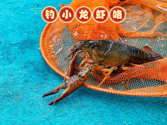 成都三友垂钓园凶案调查与分析-第1张图片-彩蝶百科