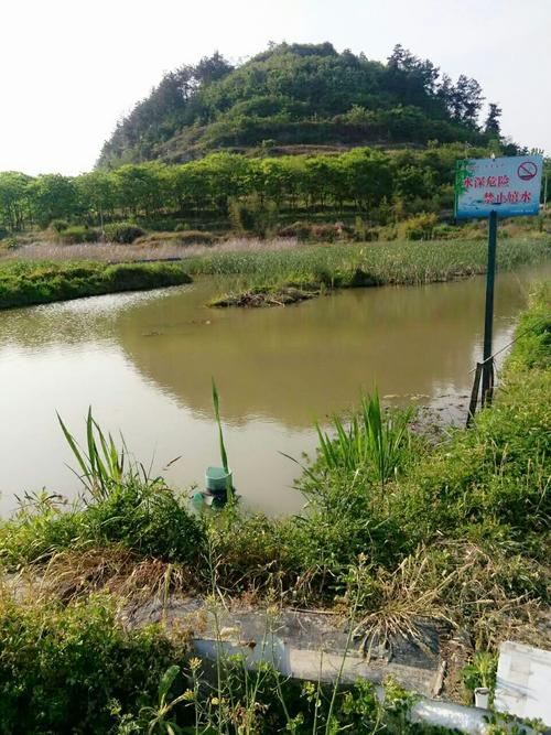 石龙洞鱼虾垂钓园地址及相关信息-第1张图片-彩蝶百科