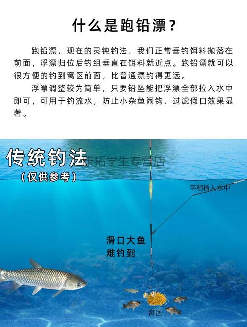 垂钓青鱼调漂法教程-第1张图片-彩蝶百科