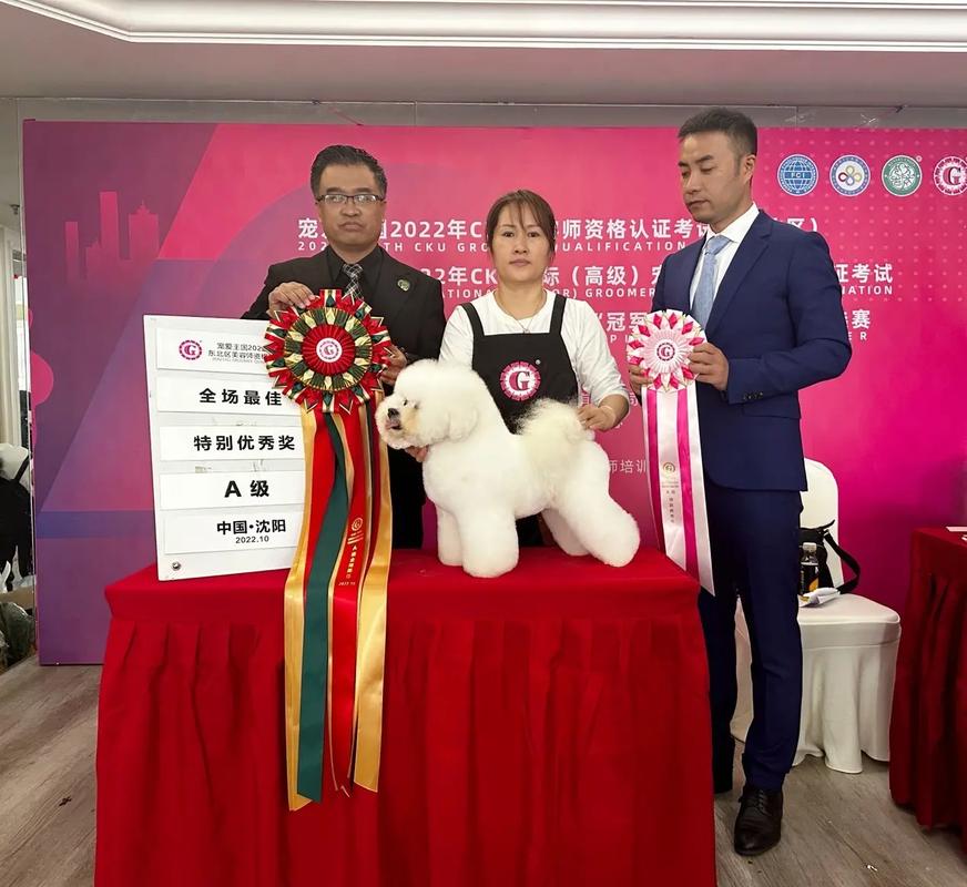 沈阳宠物美容设备厂家推荐-第1张图片-彩蝶百科 沈阳宠物美容设备厂家推荐-第1张图片-彩蝶百科