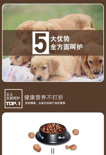欧迪宠物狗粮：专业解析与选购建议-第1张图片-彩蝶百科