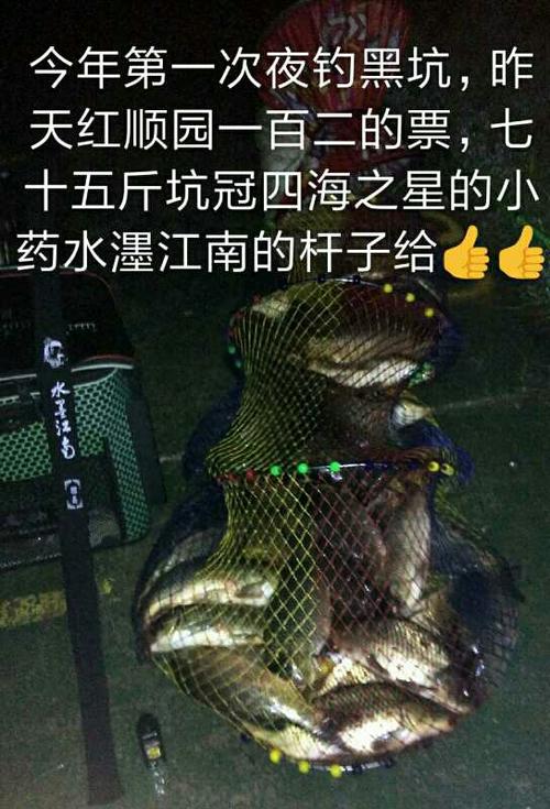 武清斤坑垂钓园介绍-第1张图片-彩蝶百科