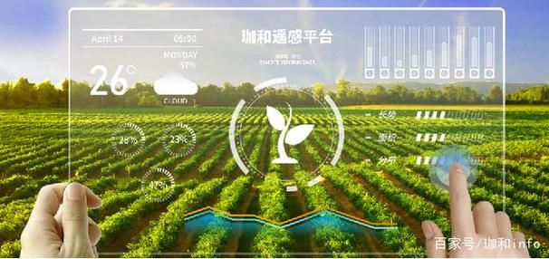 如何在粮油店中开通大数据应用-第1张图片-彩蝶百科