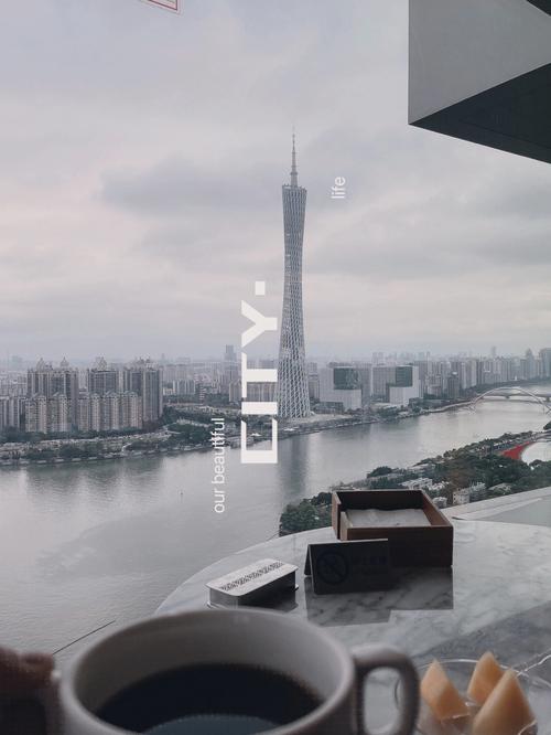 春节宠物给奶爸-第1张图片-彩蝶百科