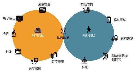 1.个性化医疗-第1张图片-彩蝶百科