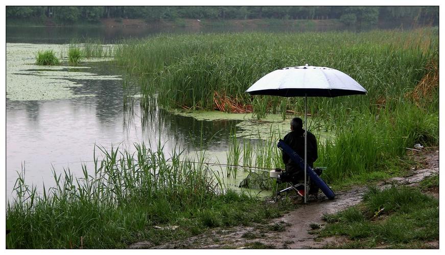 1.小雨细雨时-第1张图片-彩蝶百科