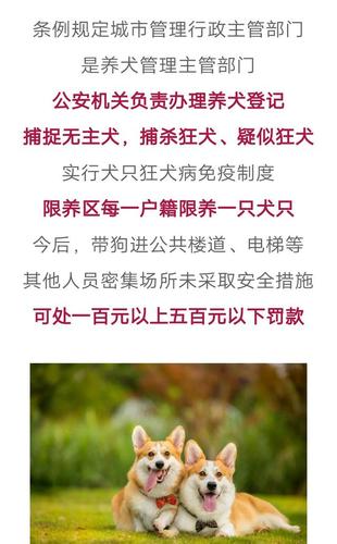 宠物禁令通知-第1张图片-彩蝶百科