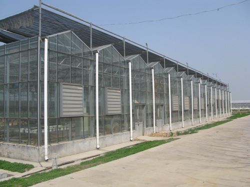 1.温室建设方案-第1张图片-彩蝶百科