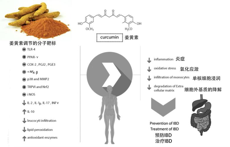 分子靶标垂钓-第1张图片-彩蝶百科