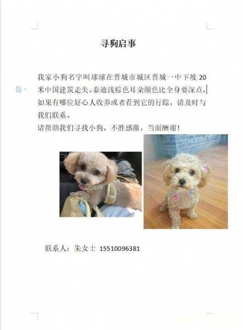 晋城宠物防疫站-第1张图片-彩蝶百科