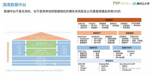 七台河大数据应用-第1张图片-彩蝶百科 七台河大数据应用-第1张图片-彩蝶百科