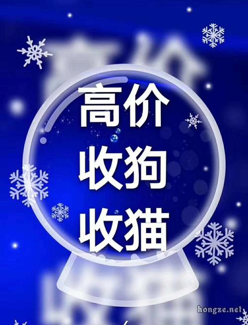 动机与挑战-第1张图片-彩蝶百科 动机与挑战-第1张图片-彩蝶百科