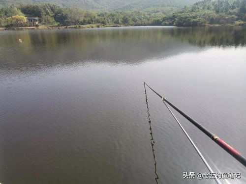 闽江垂钓规则-第1张图片-彩蝶百科