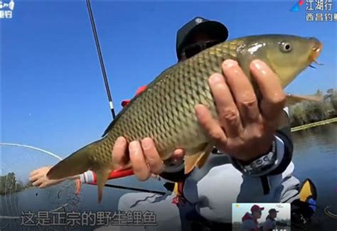 垂钓江湖在哪里-第1张图片-彩蝶百科