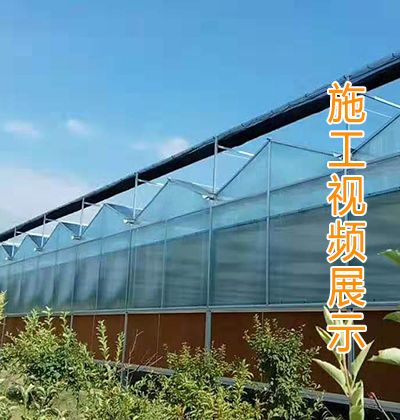淄博垂钓好玩的地方-第1张图片-彩蝶百科