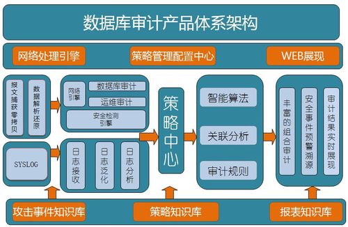 大数据审计的典型案例-第1张图片-彩蝶百科