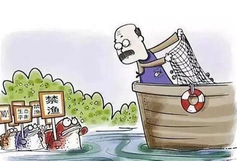 政策解析-第1张图片-彩蝶百科