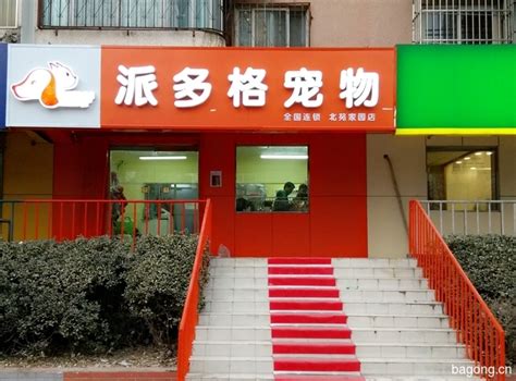 派多格宠物店的市场-第1张图片-彩蝶百科