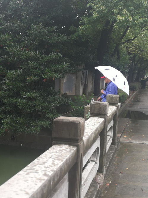小区钓鱼视频-第1张图片-彩蝶百科