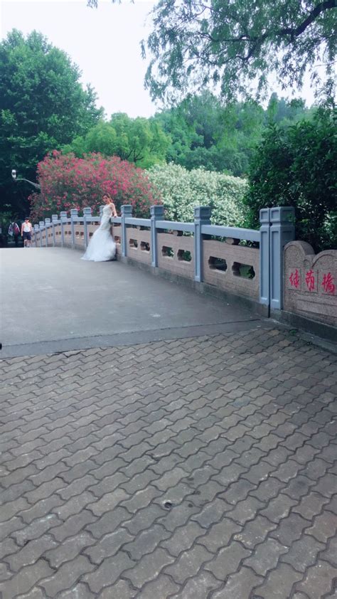 朝来森林公园能钓鱼吗-第1张图片-彩蝶百科