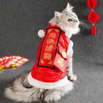2020春节礼包宠物装备-第1张图片-彩蝶百科