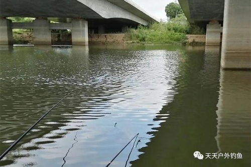 顺义天竺家园-第1张图片-彩蝶百科